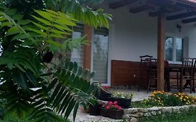 Nektar Park Villa Sara